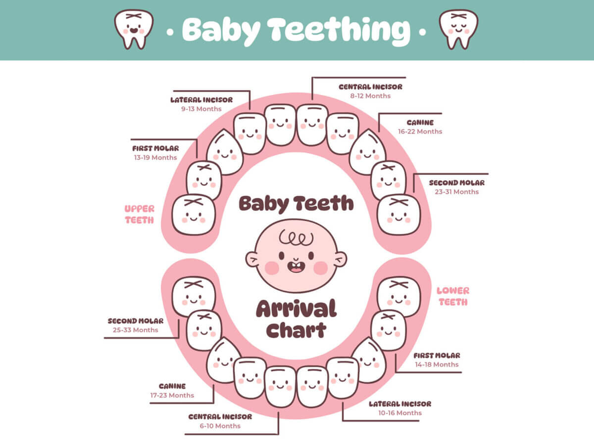 Child’s Teeth